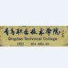Qingdao Technical University